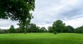 Fresh air natural landscape, meadow with green tree with blue sky for summer background, Beautiful natural spring landscape of Royalty Free Stock Photo