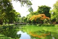 fresh air in park.green area create a good environment in the city . Royalty Free Stock Photo