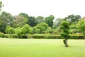 fresh air in park.green area create a good environment in the city for people to have outdoor activities Royalty Free Stock Photo