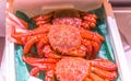 Fresh Alaskan King Crab sell at the Tsukiji Fish Marke Royalty Free Stock Photo