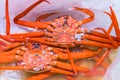 Fresh Alaskan King Crab sell at the Tsukiji Fish Market in Japan Royalty Free Stock Photo