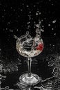 Fresh alcoholic cocktail with vodka, gin, ice, flower in wineglass on black background. Studio shot of drink in freeze motion, Royalty Free Stock Photo