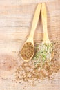 Fresh alfalfa sprouts and seeds - closeup. Royalty Free Stock Photo