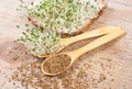 Fresh alfalfa sprouts and seeds - closeup. Royalty Free Stock Photo