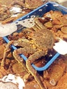 Fresh alive crabs Royalty Free Stock Photo
