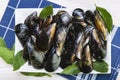 Fresh and alive mussels for cooking