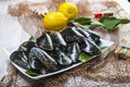 Fresh and alive mussels for cooking