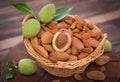 Fresh almonds in the basket Royalty Free Stock Photo