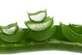 Fresh aloe vera leaf Royalty Free Stock Photo