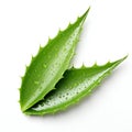 Fresh Aloe Vera Leaf with Water Droplets Isolated on White Background. Generative ai