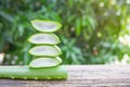 Fresh aloe vera leaves and slices on wooden table. Royalty Free Stock Photo