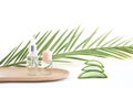 Fresh aloe vera leaves on a white background. Cutted pieses of aloe vera leaf for natural cosmetics