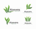 Fresh Aloe vera logo design , Cosmetic or shampoo logo template