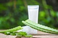 Fresh aloe vera plant leaf with gel on wooden natural herbs and herbal medicines cosmetic cream lotion aloe vera with nature green Royalty Free Stock Photo