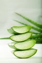 Fresh aloe Vera plant slices .