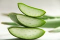 Fresh aloe Vera plant slices .