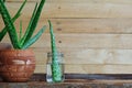 Fresh aloe vera pot plant and stem on wooden table, skin therapy concept