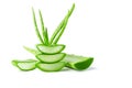 fresh aloe vera with slice isolate on white background