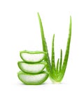 Fresh Aloe vera sliced with plant and water droplets Royalty Free Stock Photo
