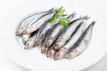 Fresh anchovies in a dish