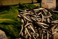 Fresh anchovies on fish market