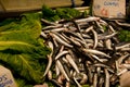 Fresh anchovies on fish market