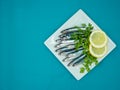 Fresh anchovies in a plate on a blue background Royalty Free Stock Photo