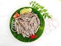 Fresh Anchovy fish decorated with Lemon slice and herbs