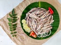 Fresh Anchovy fish decorated with Lemon slice and herbs