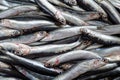 Fresh anchovy fish on the supermarket