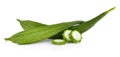 Fresh Angled luffa fruit on white background