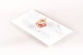 Fresh appetizer with prosciutto ham and slices of parmesan,  decorated with green leaf,  placed on white plate,  light background Royalty Free Stock Photo