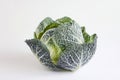 Fresh and appetizing cabbage with intricate leaf patterns on a clean white background Royalty Free Stock Photo