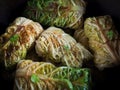 Fresh appetizing cabbage rolls tied with string.