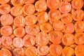 Fresh appetizing dried apricots