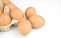 Fresh and appetizing eggs are packed in egg cartons. put on a white background