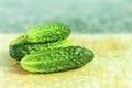 Fresh appetizing green cucumbers close-up. Organic bio food