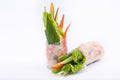 Fresh appetizing spring rolls with prawns on a white background. Royalty Free Stock Photo