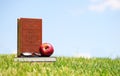 Fresh apple and books on green grass and sky Royalty Free Stock Photo