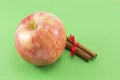 Fresh apple and cinnamon sticks with a ribbon Royalty Free Stock Photo