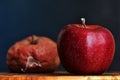 A Fresh Apple in the Foreground, A Rotten Apple Out of Focus In The Background. Good vs Bad. Antithesis Concept. Dark Background Royalty Free Stock Photo