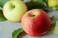 Fresh apple fruits close up, juicy red apples