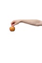 Fresh apple held in hand isolated on white background. man holding red fruit Royalty Free Stock Photo