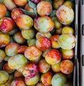 Fresh Apple isolated in box Royalty Free Stock Photo