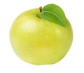 Fresh apple isolated Royalty Free Stock Photo