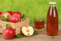 Fresh apple juice Royalty Free Stock Photo