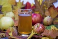 Fresh apple juice on table with apples and maple leaves. Royalty Free Stock Photo