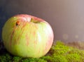 Fresh apple with red ladybird on green moss Royalty Free Stock Photo