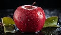 Fresh apple slice glistens with dew, nature healthy refreshment generative AI