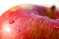 Fresh apple on white background Royalty Free Stock Photo